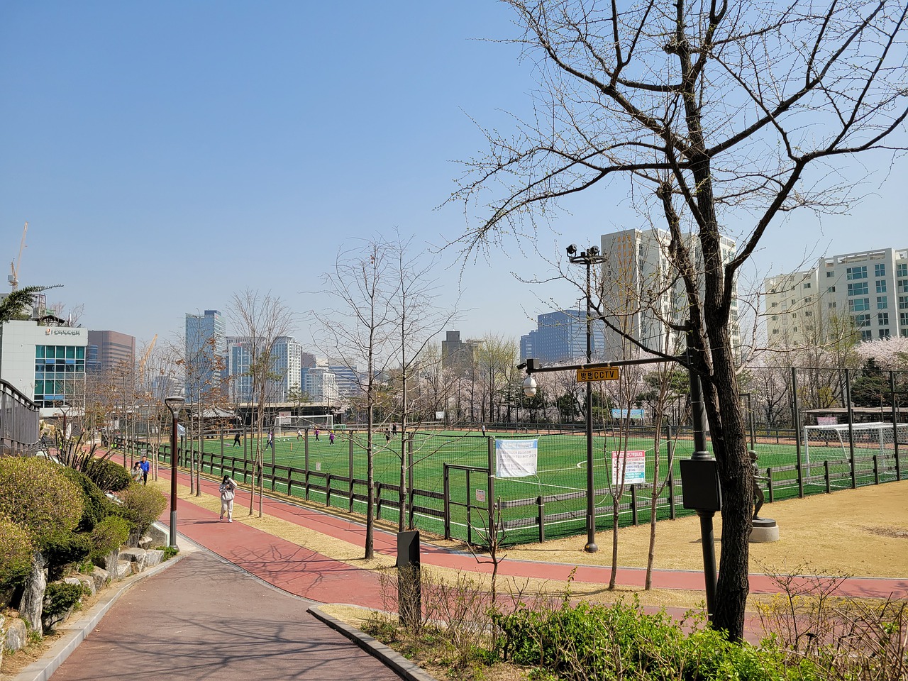 为我们展示