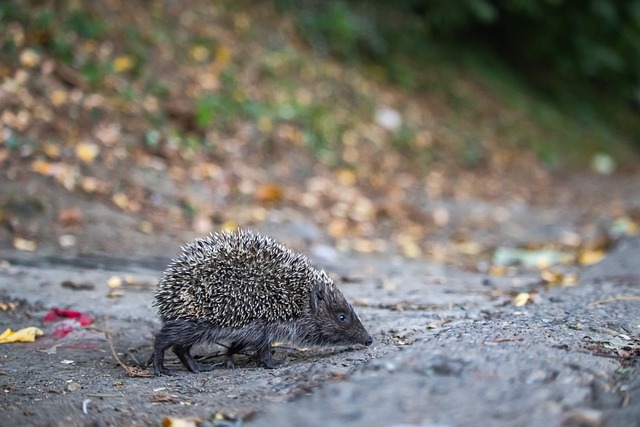 不仅促进集 不仅促进集