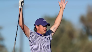 的草坪上 的草坪上