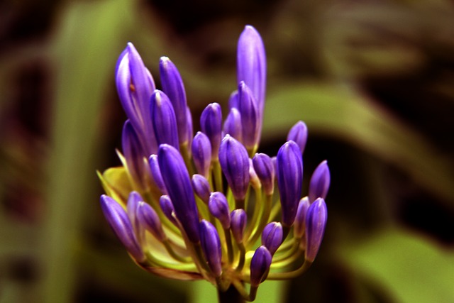 间的较量 间的较量