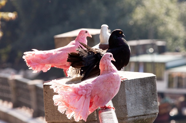 他的存在不 他的存在不