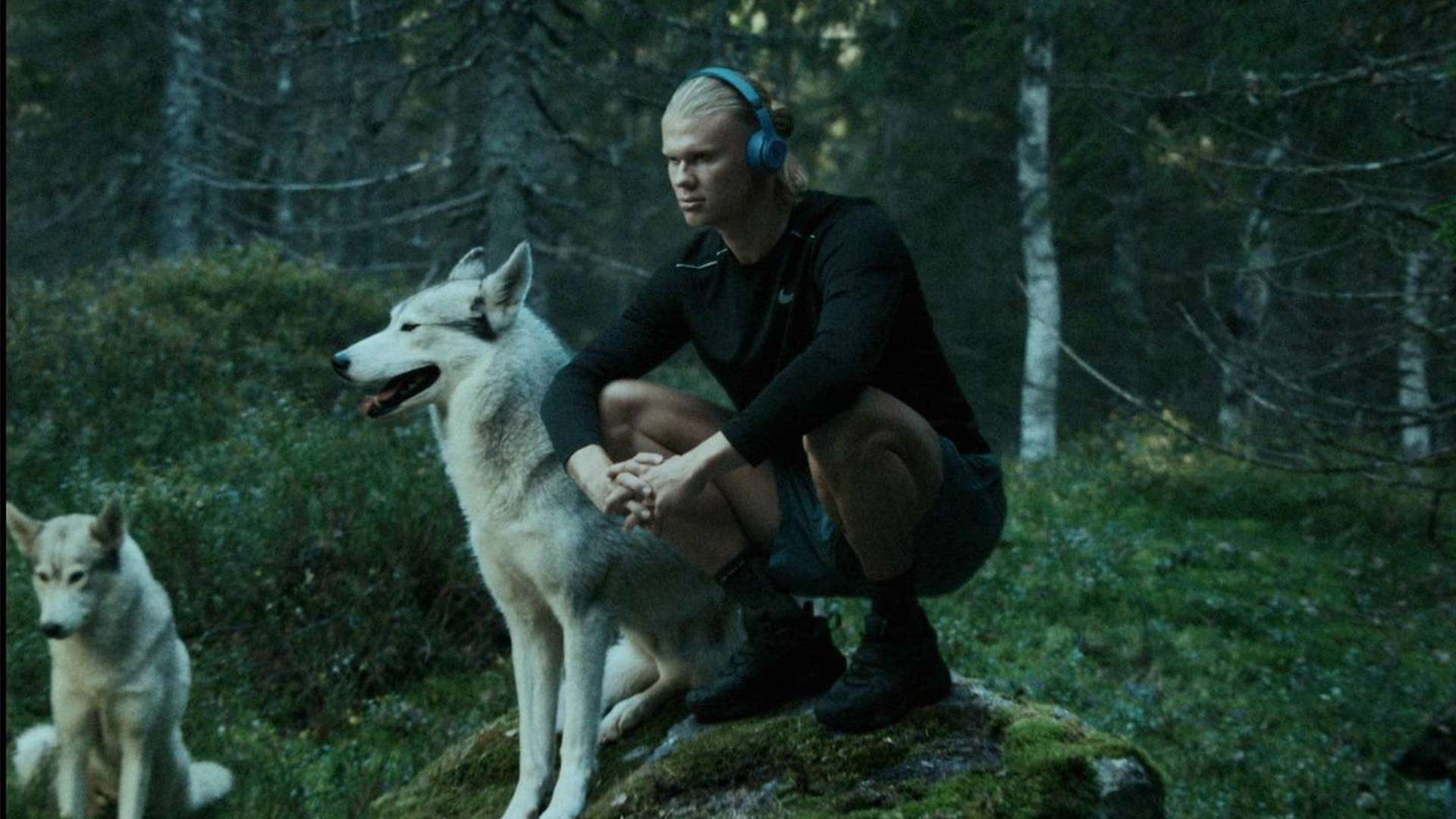 球场上的快 球场上的快